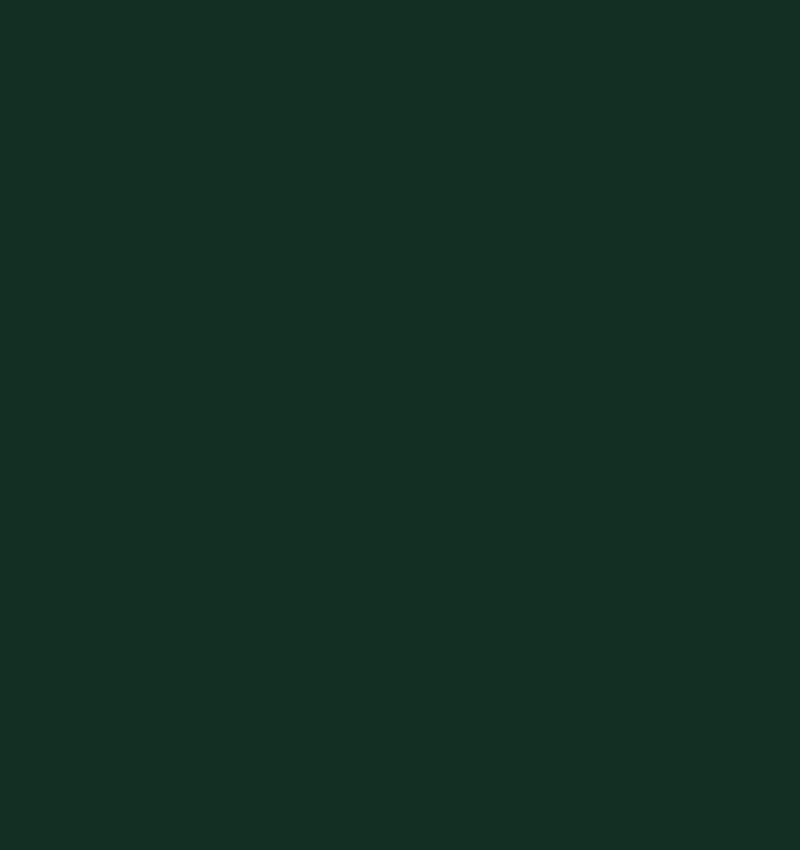 Zielony BTX6032 (matowy)